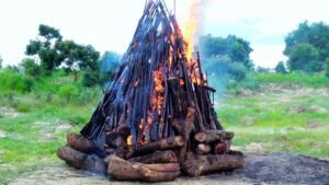 Mois de l'Amnistie africaine : 1.507 armes illégales incinérées à Lomé