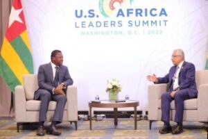 Togo : Le pays veut renforcer sa coopération économique avec l'île Maurice