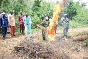 Feux de végétation : Une campagne de lutte contre le fléau lancée au Togo