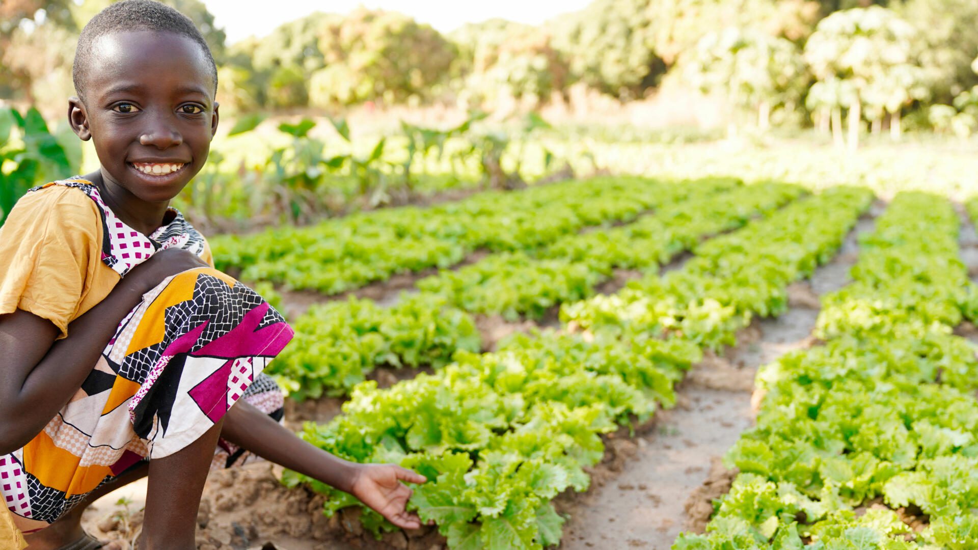 sécurité alimentaire