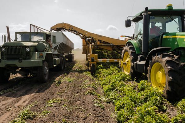 Togo : Une agence de transformation agricole bientôt opérationnelle recrute