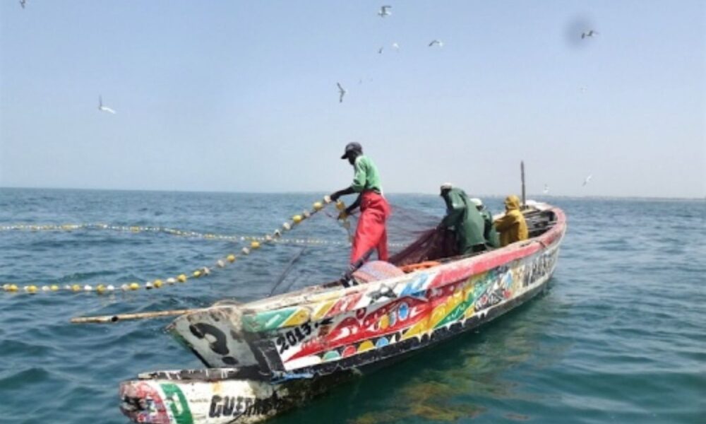 Togo : Les activités de pêches suspendues Investissements