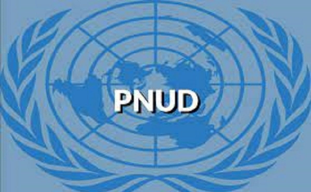 PNUD recrute