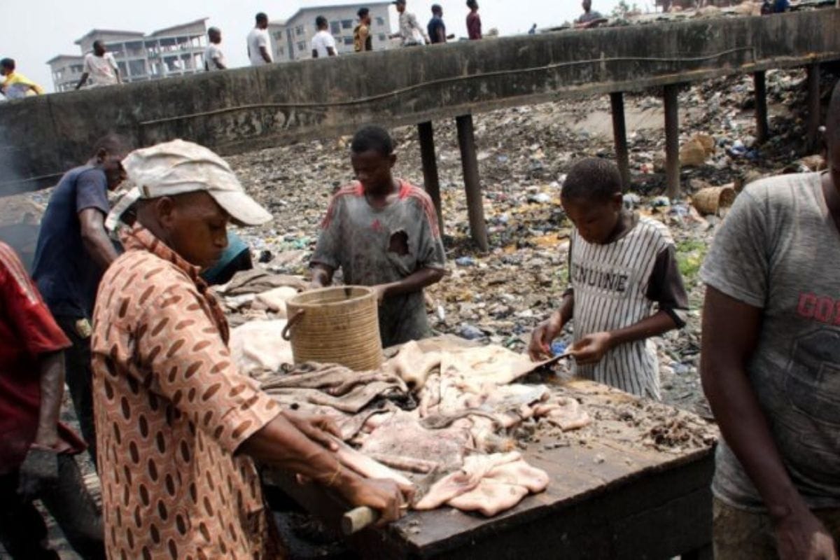 Togo : L'ATC et l'OADEL réclament la construction d'abattoirs modernes