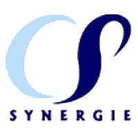 Consult Services Synergie recrute pour ce poste