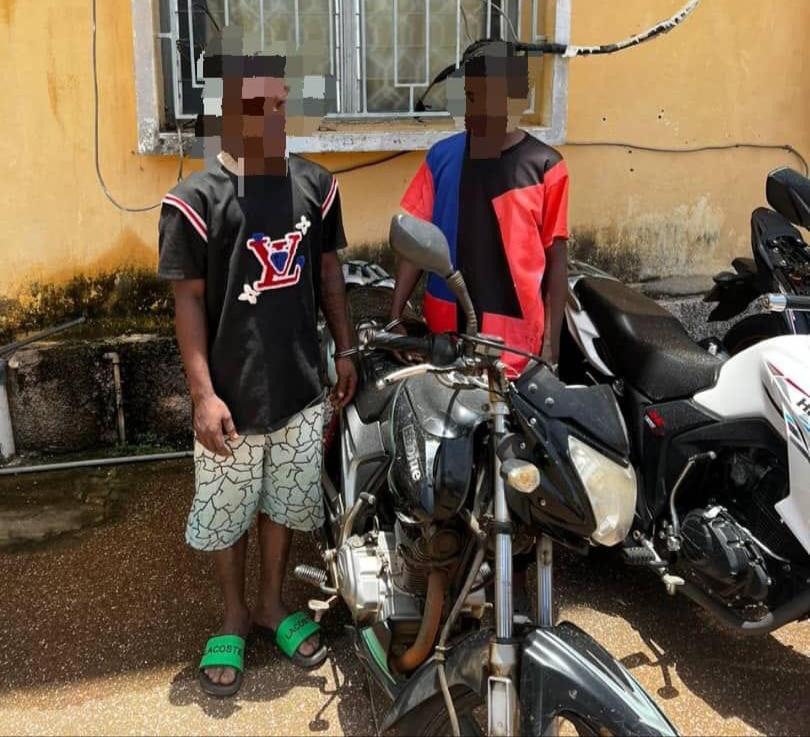 WhatsApp Image 2023 04 06 at 11.14.15