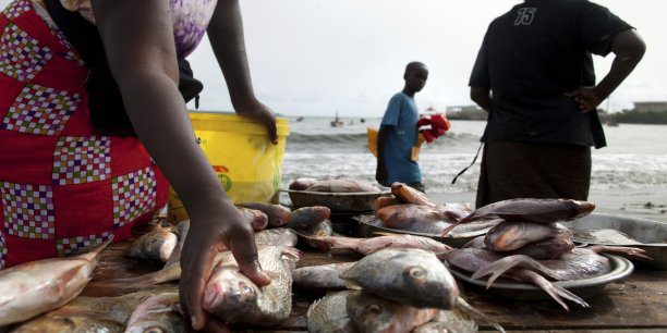 peche togo