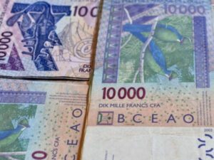 Entrepreneuriat : Voici une idée de business à lancer à partir de 10 000 Fcfa