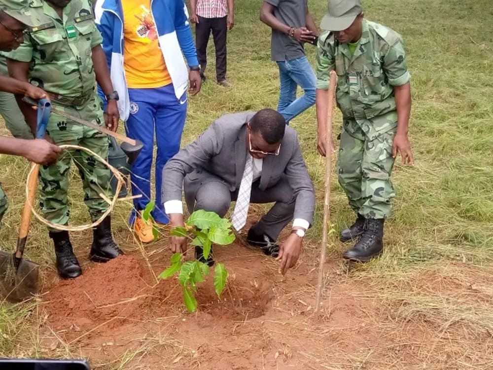 Comment le gouvernement togolais a-t-il célébré la journée de l'arbre ?