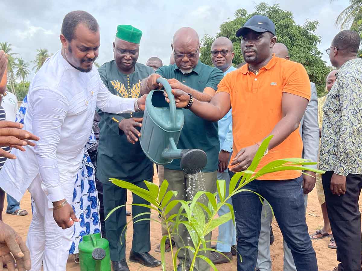 Togo-reboisement : Lancement de l'édition 2023 de l'opération "Un journaliste, un arbre"