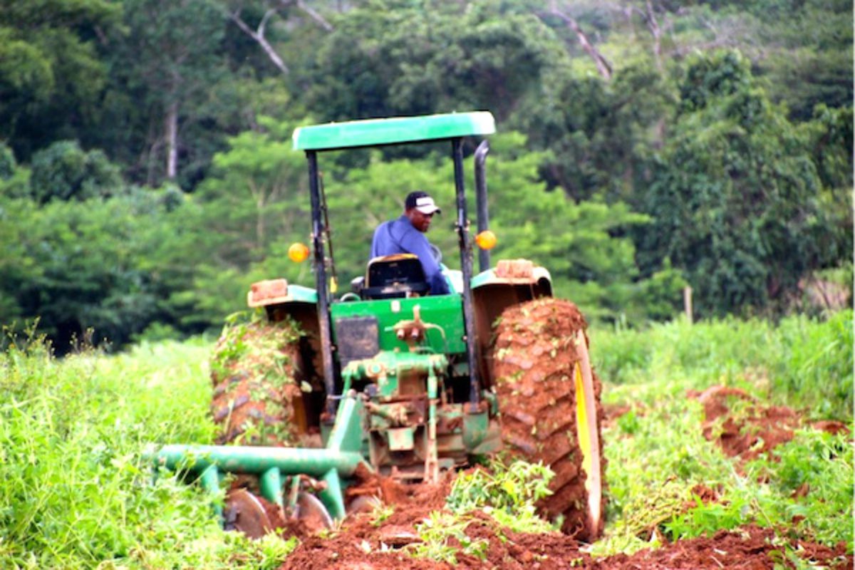 Entrepreneuriat : Bientôt le Forum de l'Entrepreneuriat du Genre et de l'Agriculture Paysanne (FEGAP)