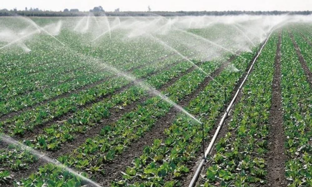 Agriculture : Des producteurs se forment en technique d'irrigation dans la commune de Yoto 1