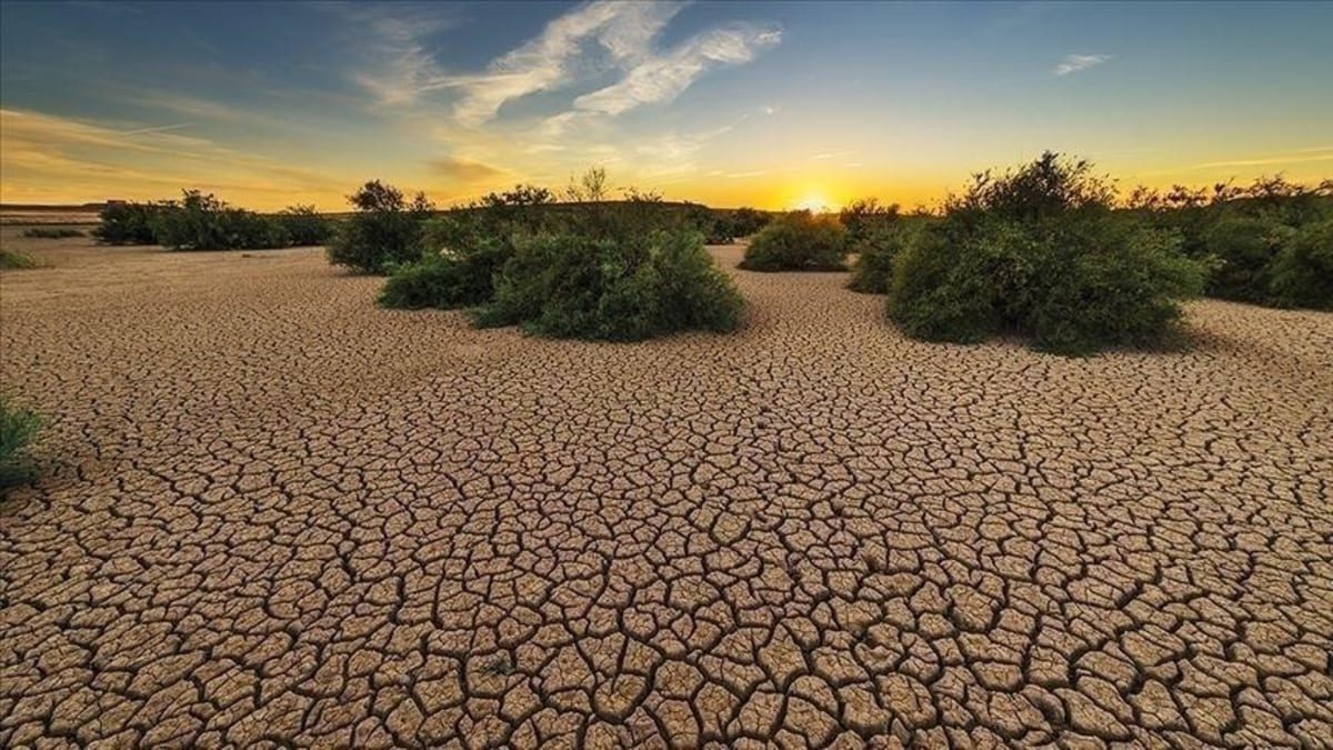 Lutte contre le changement climatique : Un atelier se tient à Kpalimé