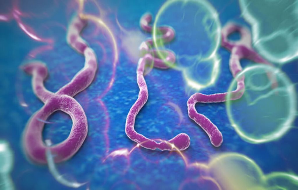 Le Togo intensifie sa lutte contre les maladies tropicales négligées