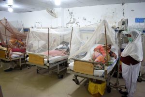 Tchad : Une épidémie de dengue sévit dans le pays