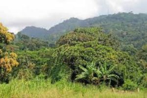Environnement : Le Togo veut se conformer aux normes de la Convention de Stockholm