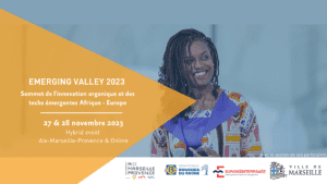 EMERGING VALLEY 2023