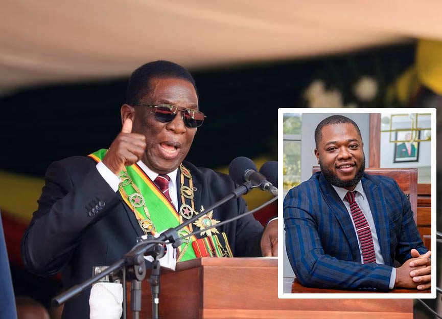 Zimbabwe : Le président Mnangagwa nomme son fils au ministère des finances