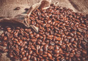 Le Togo célèbre la journée internationale du Café avec une innovation majeure