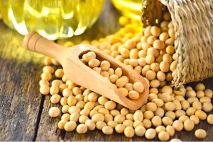 Lancement de la campagne de commercialisation du Soja au Togo