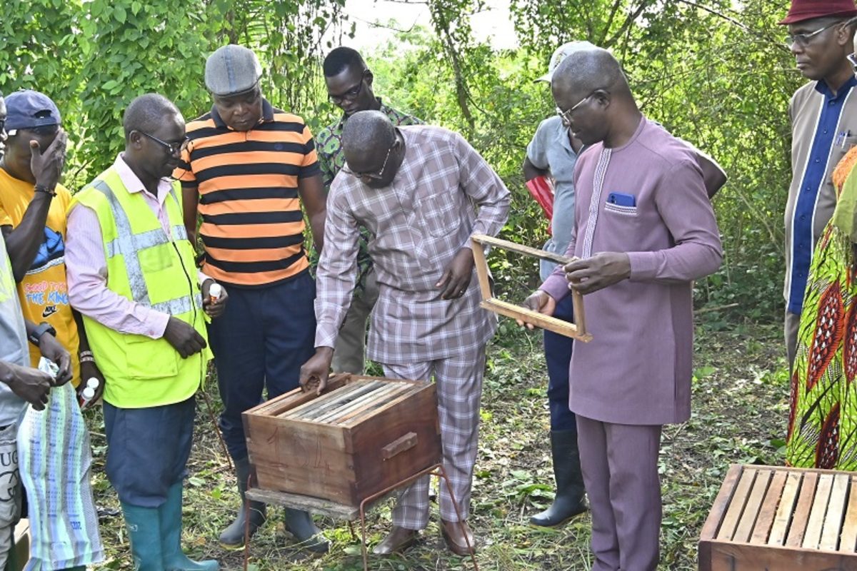 Akoumapé : Le projet d'Apiculture des communes Golfe 1 et Vo 4 promet