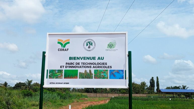 Le Togo mise sur l'innovation agricole pour renforcer son économie