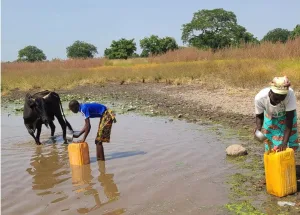 Pénurie d'eau à Nadéla : Quand l'eau devient le "sang d'un initié" au nord du Togo