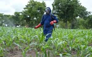 Agriculture : le Togo veut améliorer son conseil agricole