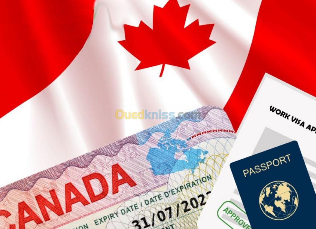 Immigration : Le Canada limite l'accès aux Visa pour cette raison