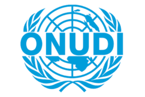 L’Organisation des Nations Unies pour le Développement Industriel (ONUDI) recrute pour ce poste