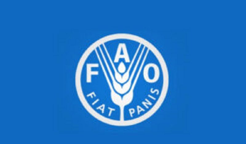 La FAO recrute pour ces 2 postes