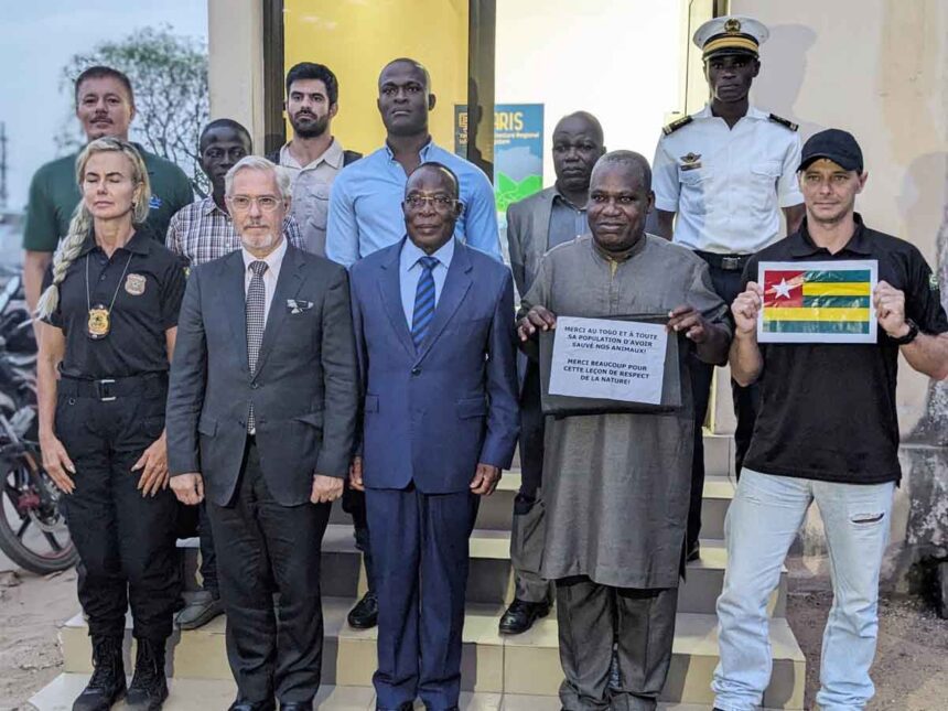 Togo : Des trafiquants d’espèces protégées du Brésil arrêtés