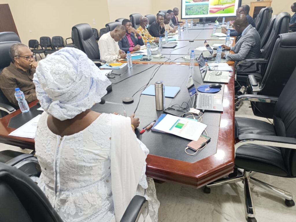 Togo : Quelles est l'importance de la budgétisation verte dans la prise de décision économique?