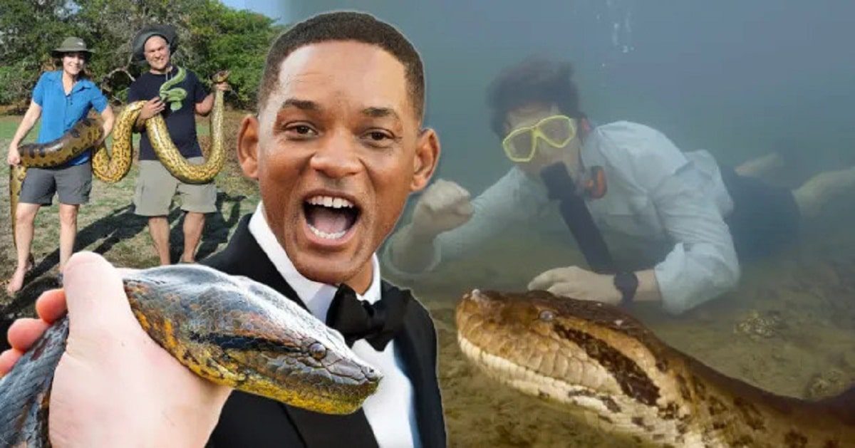 Will smith découvre serpent