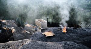 Togo : Le gouvernement s'engage à réduire ses émissions de méthane de 30 % d'ici 2030