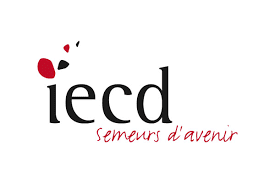 L’Institut Européen de Coopération et Développement (IECD) recrute pour ce poste