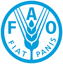 Le Bureau de la FAO recrute pour ces postes