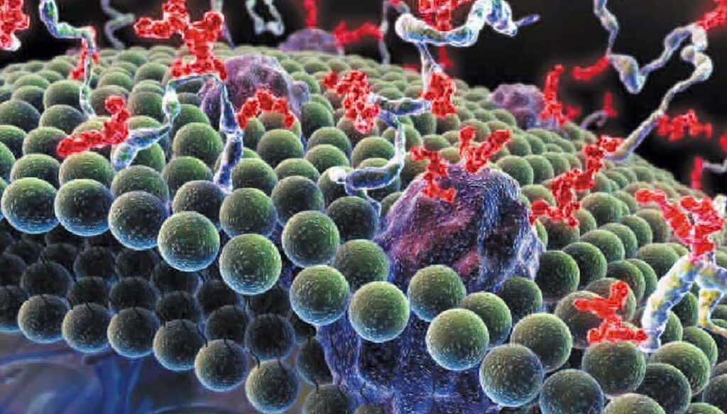 L'or mélangé avec du sucre serait plus efficace que les antibiotiques dans le traitement des infections , révèle une étude