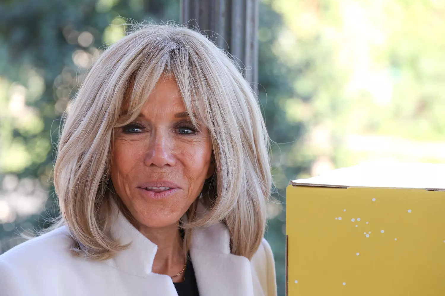 France : Une rumeur persistante sur l'identité de genre de Brigitte Macron