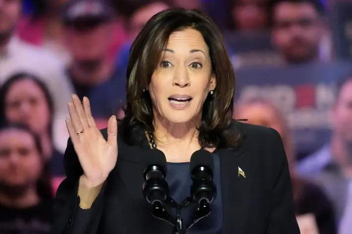 Présidentielle aux Etats-Unis : Qui sera le colistier de Kamala Harris ? Les favoris connus