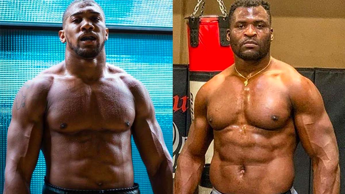 Francis Ngannou vs Anthony Joshua : Drake fait un pari colossal sur ...