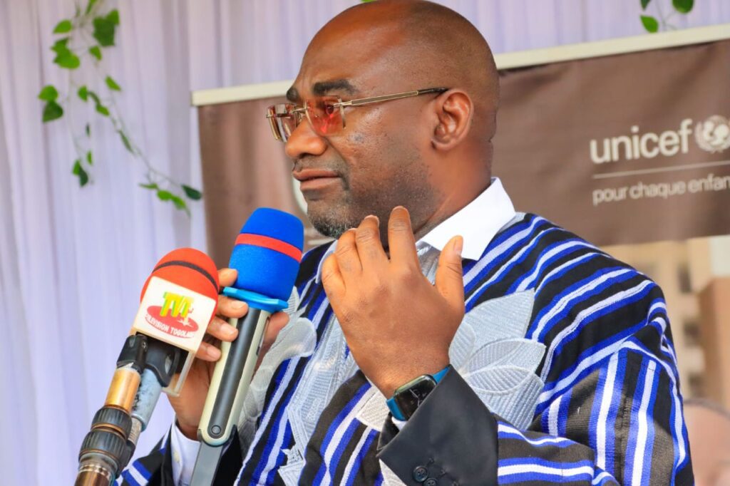 Révision constitutionnelle : La réaction du ministre Dodzi Kokoroko