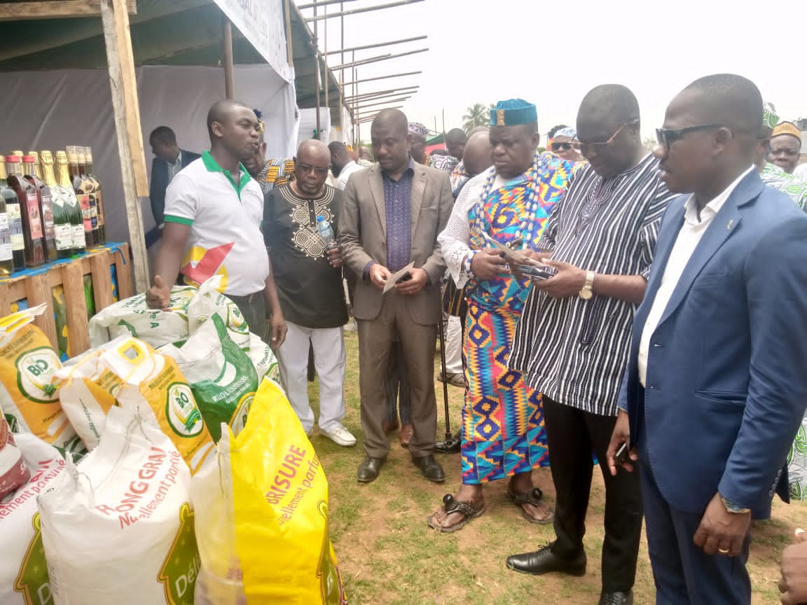 Togo : La commune Golfe 1 vibre au rythme d'un festival international