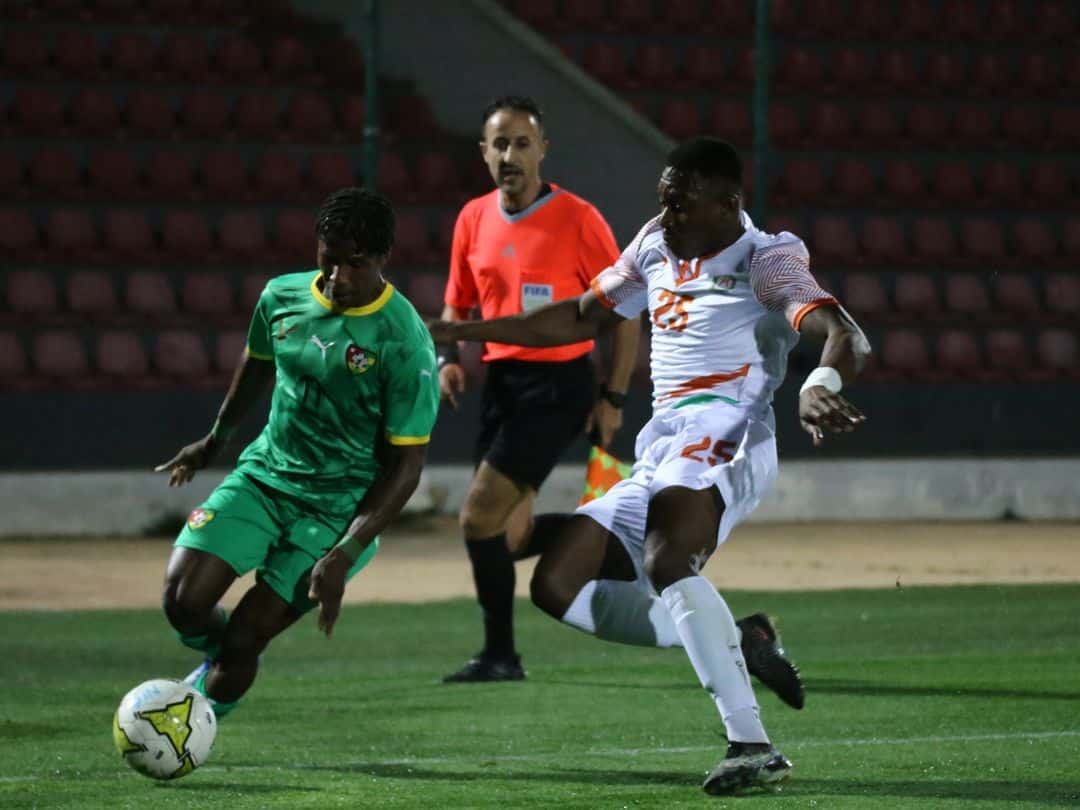 Togo-Niger : Les tops et les flops du match amical