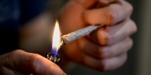 Légalisation du Cannabis en Allemagne : Le Parlement donne son verdict