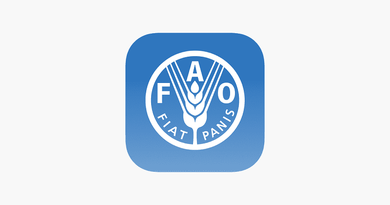 L’Agence régionale de la FAO recrute pour ce poste