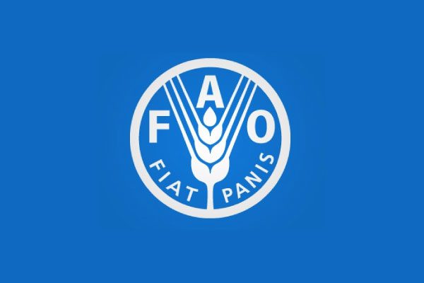 Le Bureau de la FAO recrute pour ces 02 postes