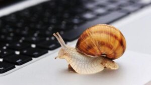 Top 10 des connexions Internet les plus lentes d'Afrique : Quelle place pour le Togo ?