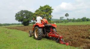 Résilience du système alimentaire en Afrique de l'Ouest : Le Togo dépasse les attentes
