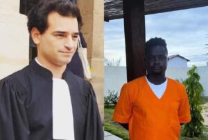 Avocat observateur Ebène